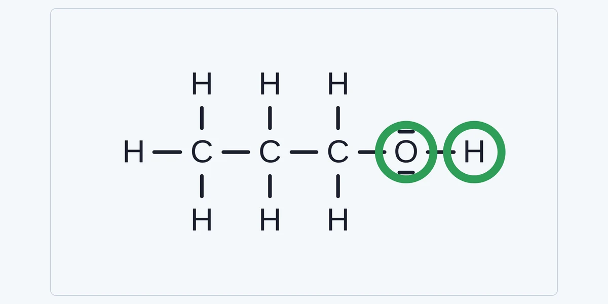 Vorschau Hydrophile und hydrophobe Bereiche erkennen