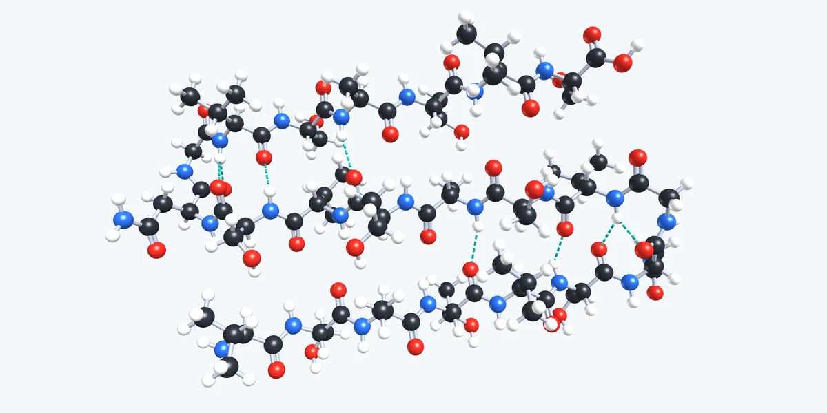 Vorschau Biomoleküle – Aminosäuren und Peptide