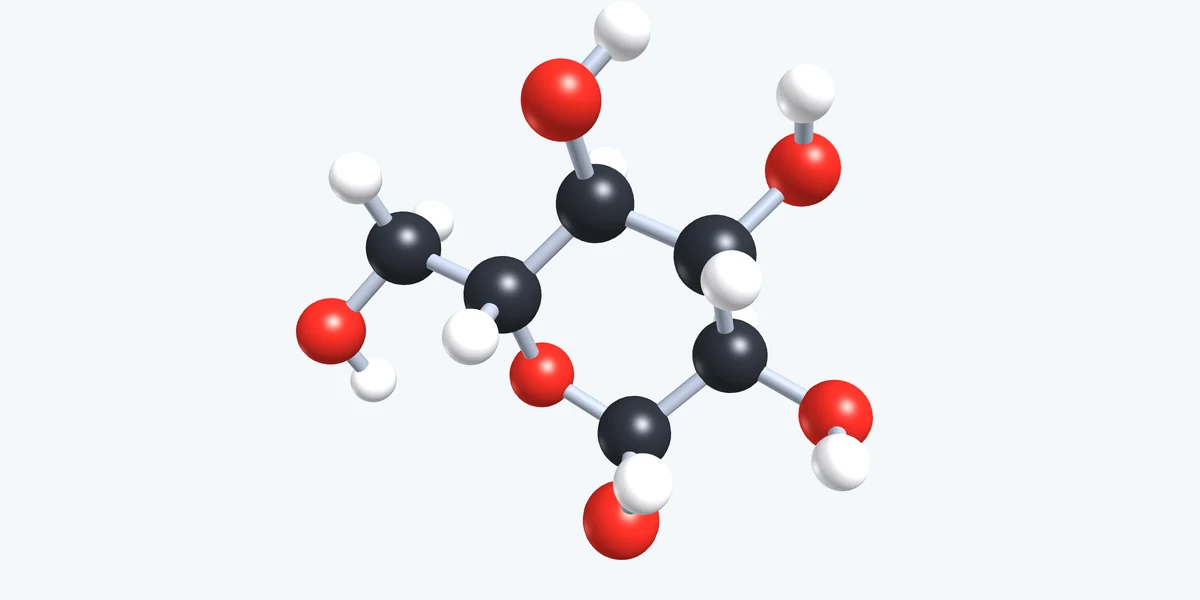 Vorschau Kohlenhydrate